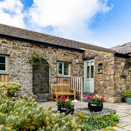 Cwm Connell Coastal Cottages Moylgrove ภายนอก รูปภาพ
