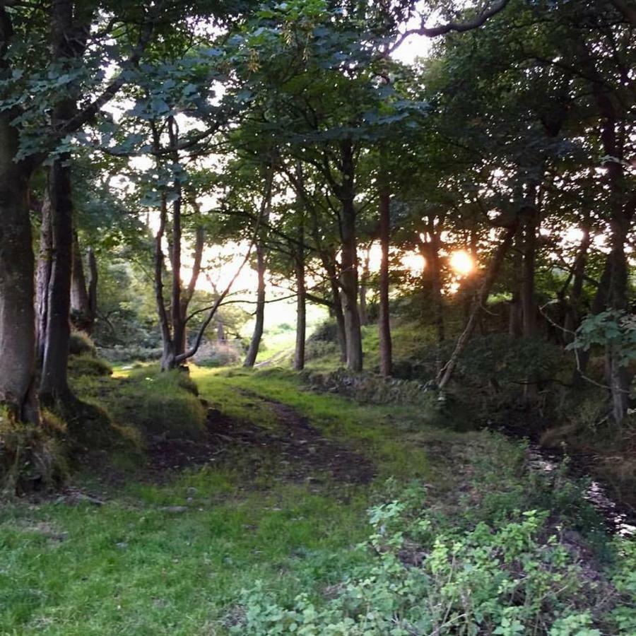Cwm Connell Coastal Cottages Moylgrove ภายนอก รูปภาพ