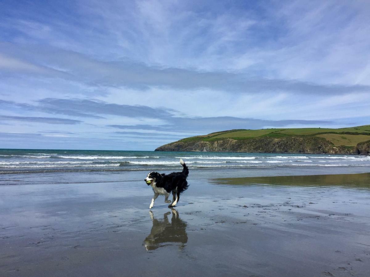 Cwm Connell Coastal Cottages Moylgrove ภายนอก รูปภาพ